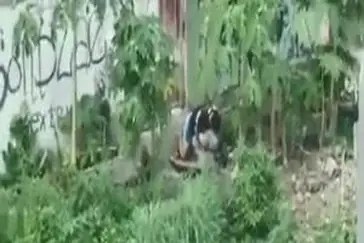 Ngintip Jilbab Lagi Ngewe Di Belakang Sekolah Ketahuan